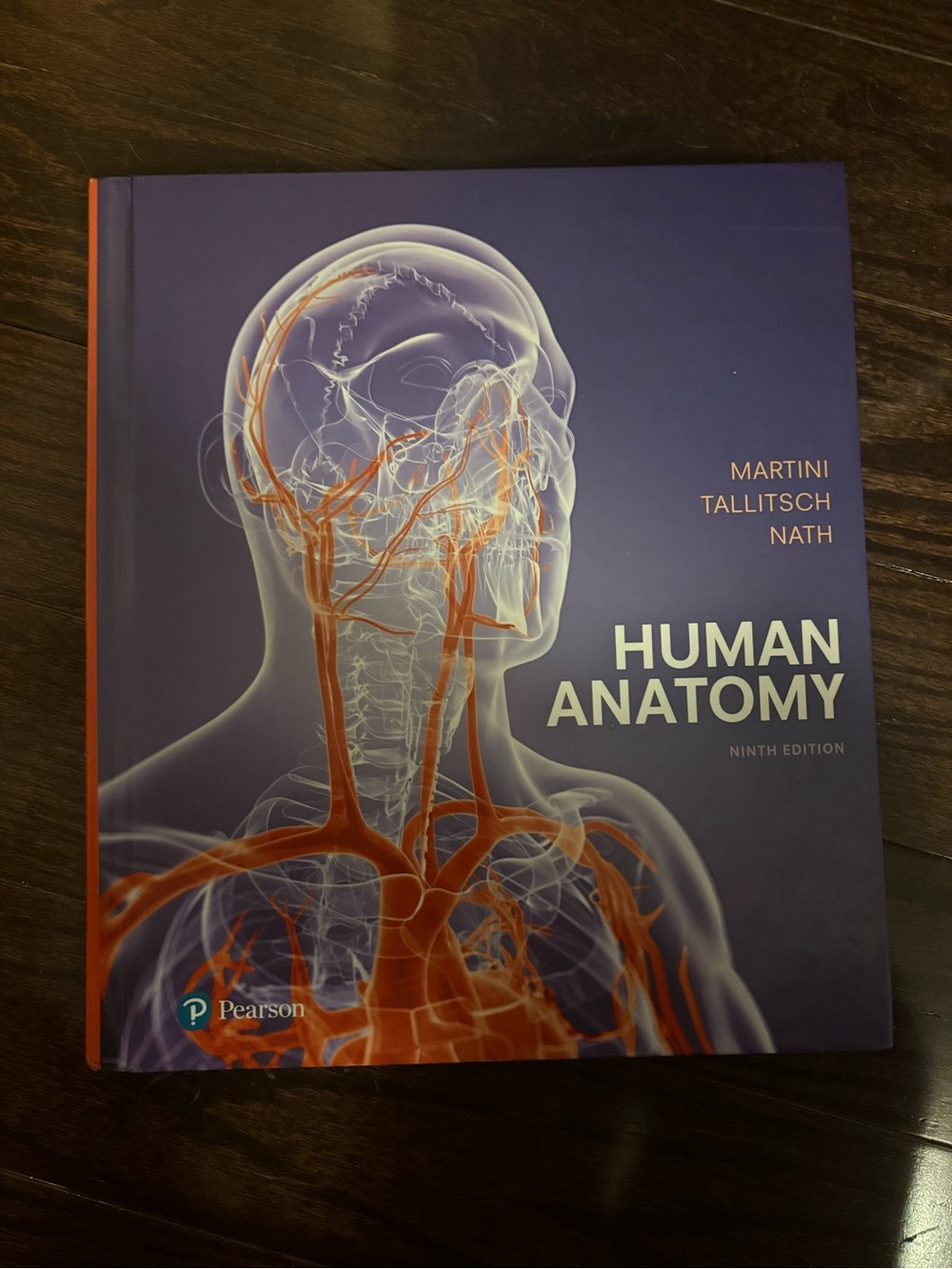 Pearson Human Anatomy Art Print - Purple and Orange Vascular Illustration